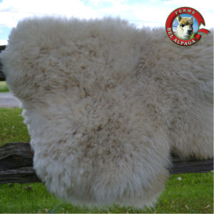 Peau alpaga blanche detail