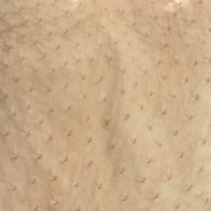 Peau-autruche_beige||Peau-autruche_noir||Peau-autruche_cognac||Peau-autruche_brun_noir_beige||Autruche_peau_detail