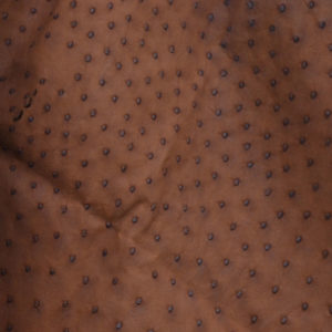 Peau-autruche_cognac